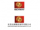 -www_dgrichway_com.99061.cn
